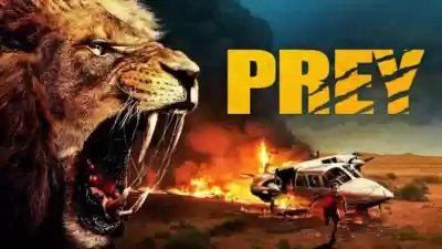 Presa